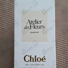 Отзыв Chloe Cedrus