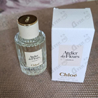 Отзывы Chloe Cedrus