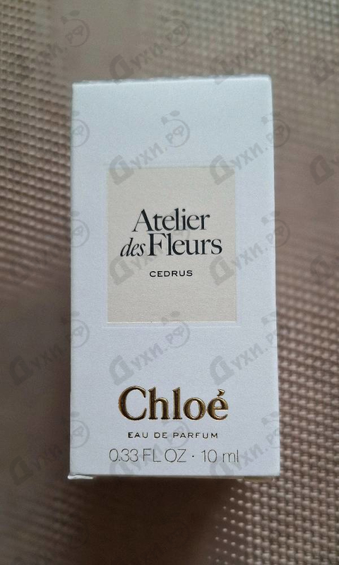 Отзывы Chloe Cedrus