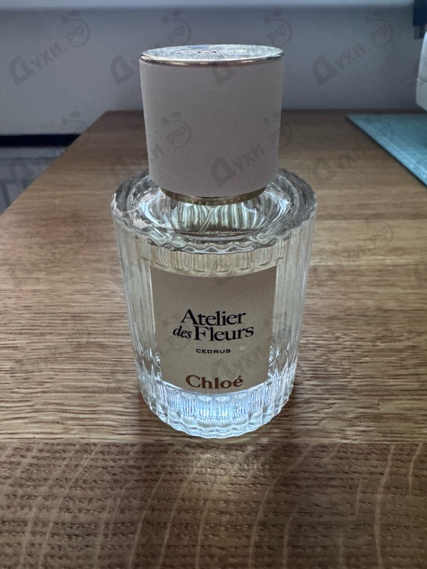 Парфюмерия Chloe Cedrus