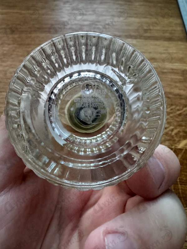 Купить Cedrus от Chloe