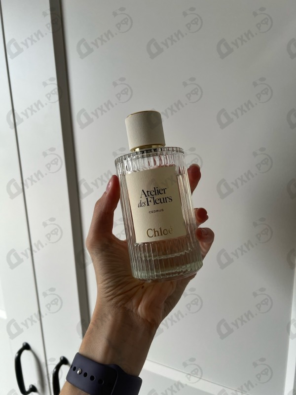 Парфюмерия Cedrus от Chloe