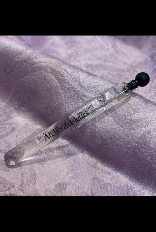 Парфюмерия Cedrus от Chloe