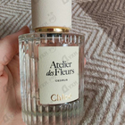 Отзывы Chloe Cedrus