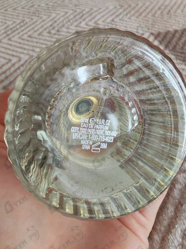 Купить Chloe Cedrus