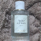 Отзывы Chloe Cedrus