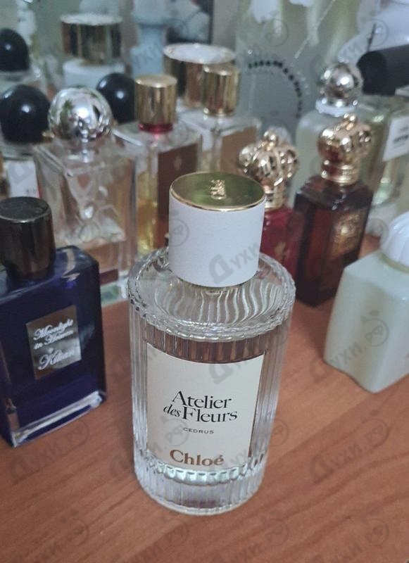Купить Cedrus от Chloe