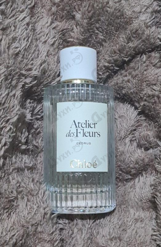 Духи Cedrus от Chloe