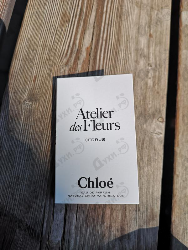 Духи Cedrus от Chloe