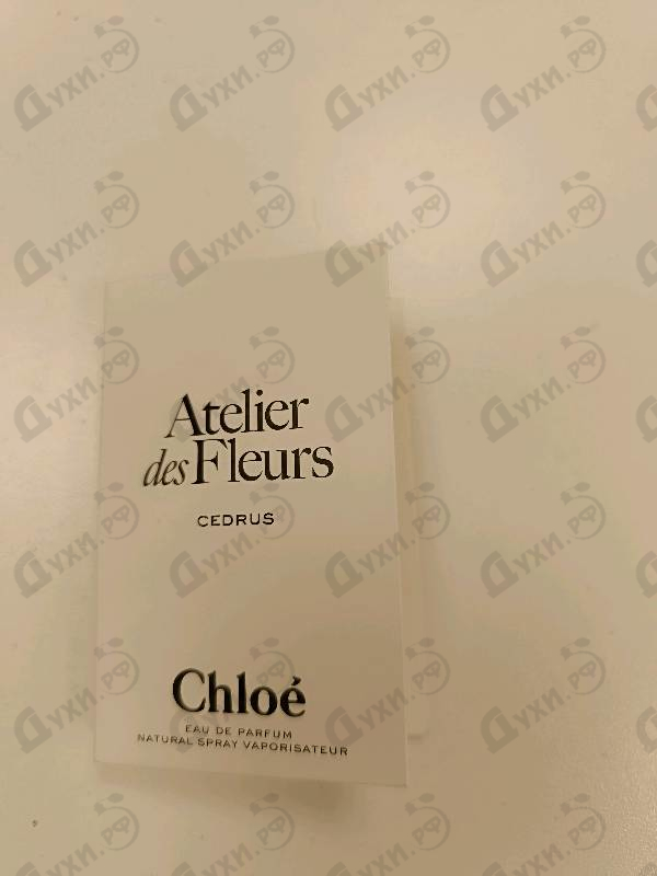 Купить Cedrus от Chloe