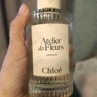 Отзывы Chloe Cedrus