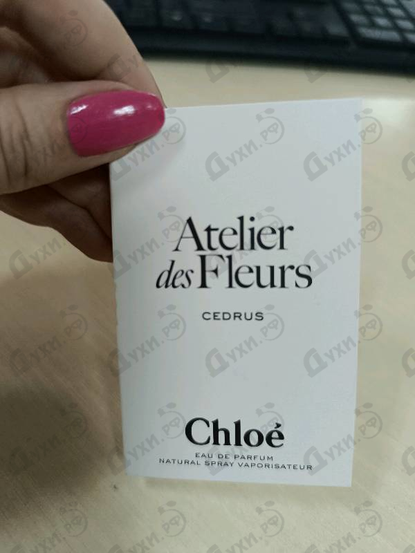 Парфюмерия Cedrus от Chloe
