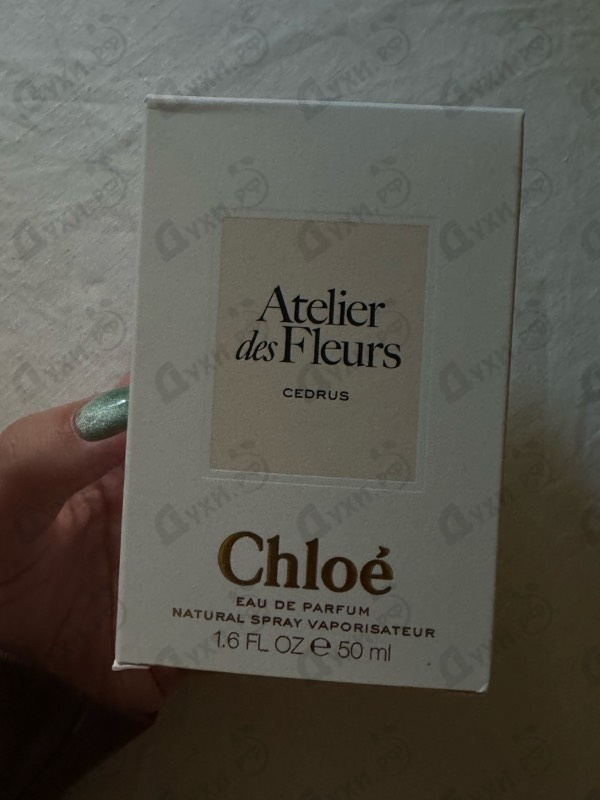 Купить Cedrus от Chloe