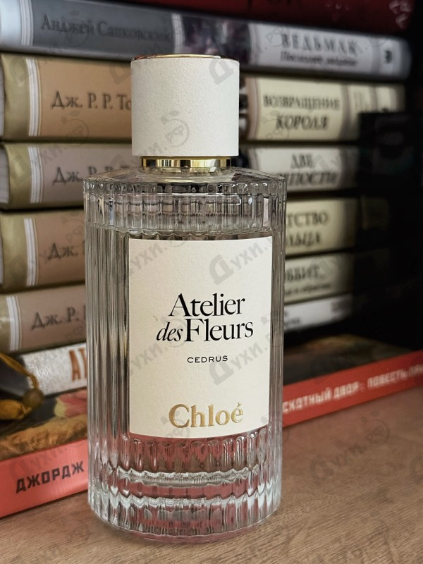 Купить Cedrus от Chloe