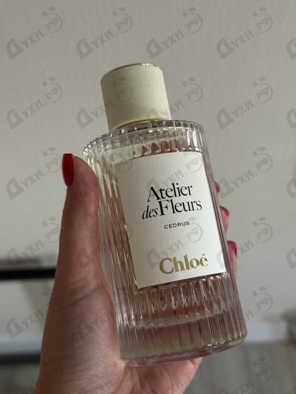 Парфюмерия Cedrus от Chloe