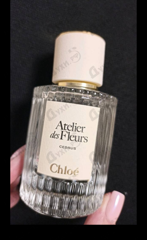 Духи Cedrus от Chloe