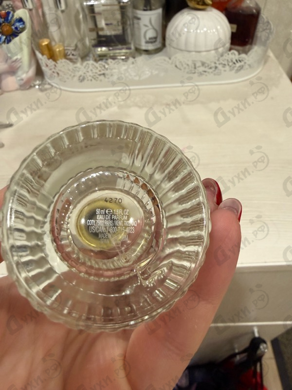 Купить Chloe Cedrus