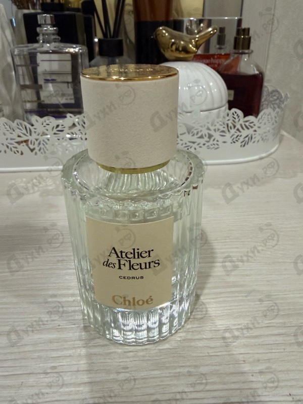 Духи Cedrus от Chloe
