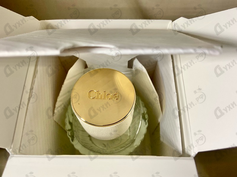 Отзывы Chloe Cedrus