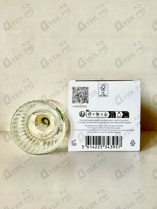 Отзывы Chloe Cedrus