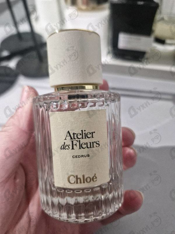 Парфюмерия Cedrus от Chloe