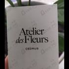 Духи Cedrus от Chloe