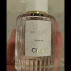 Отзывы Chloe Cedrus