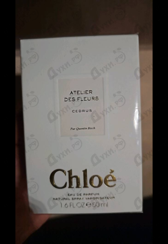 Парфюмерия Cedrus от Chloe