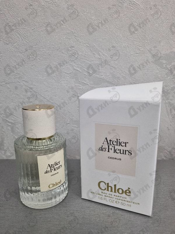 Парфюмерия Cedrus от Chloe