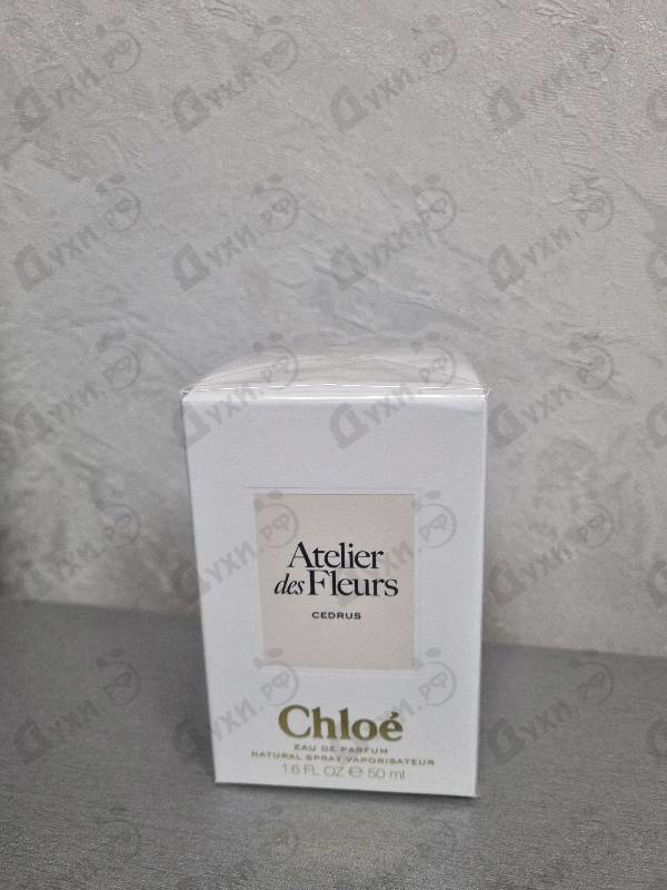 Парфюмерия Cedrus от Chloe