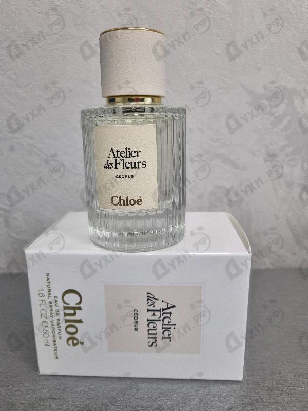 Купить Cedrus от Chloe