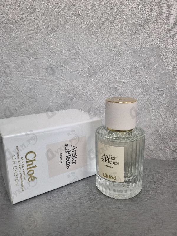 Парфюмерия Cedrus от Chloe