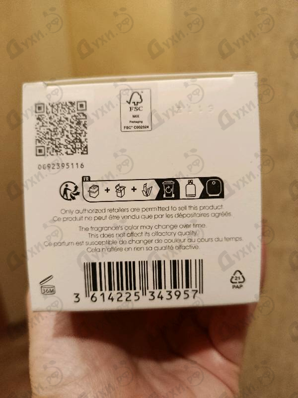Купить Cedrus от Chloe