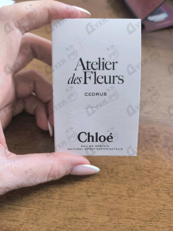 Духи Cedrus от Chloe