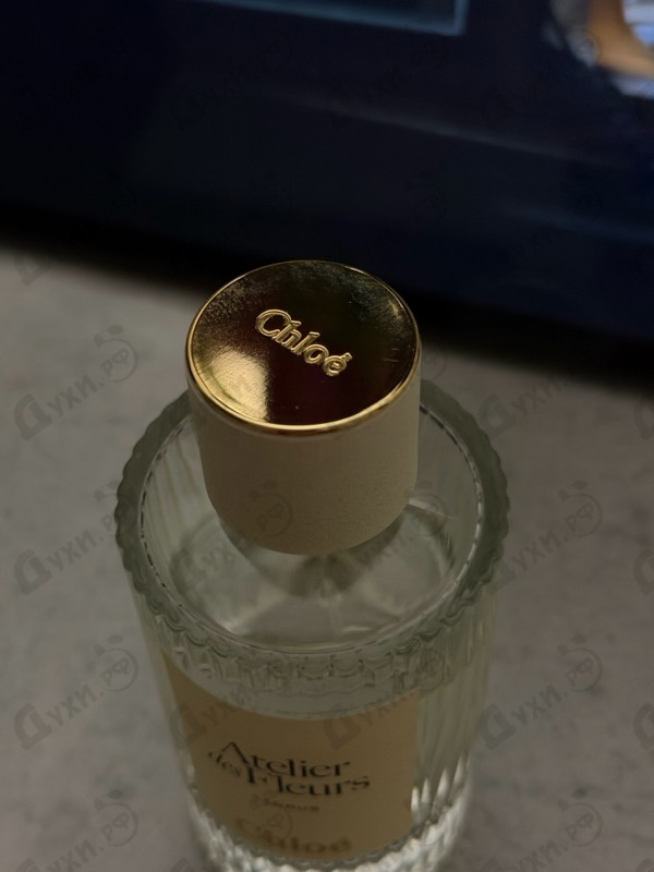 Парфюмерия Cedrus от Chloe