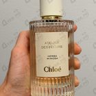 Отзывы Chloe Herba Mimosa
