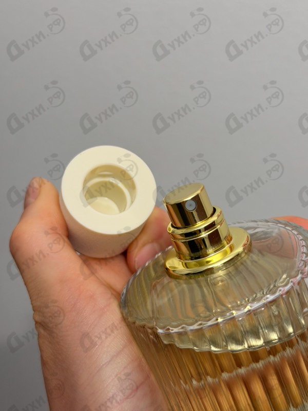 Купить Chloe Herba Mimosa