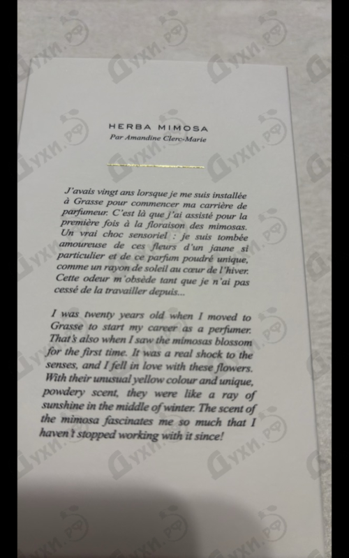 Отзывы Chloe Herba Mimosa