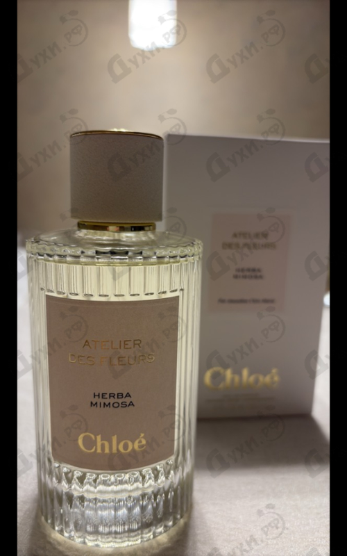 Парфюмерия Herba Mimosa от Chloe