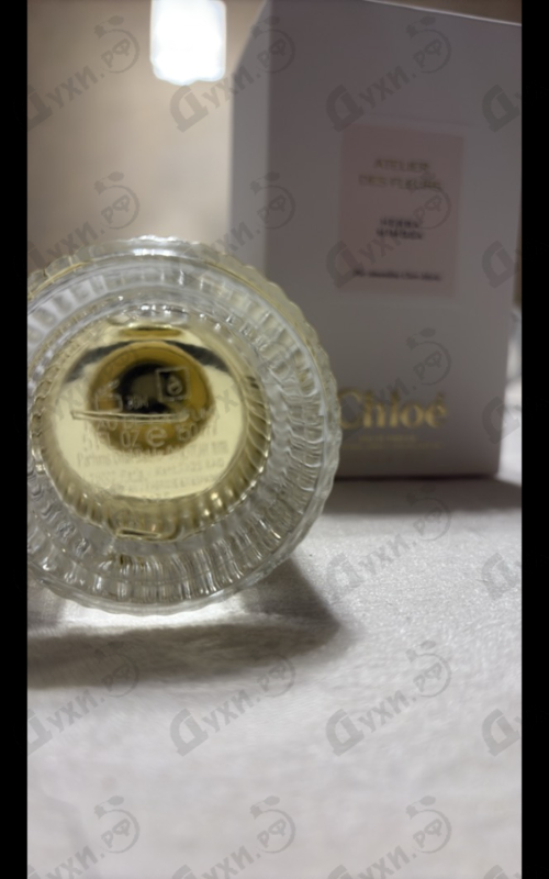 Купить Herba Mimosa от Chloe