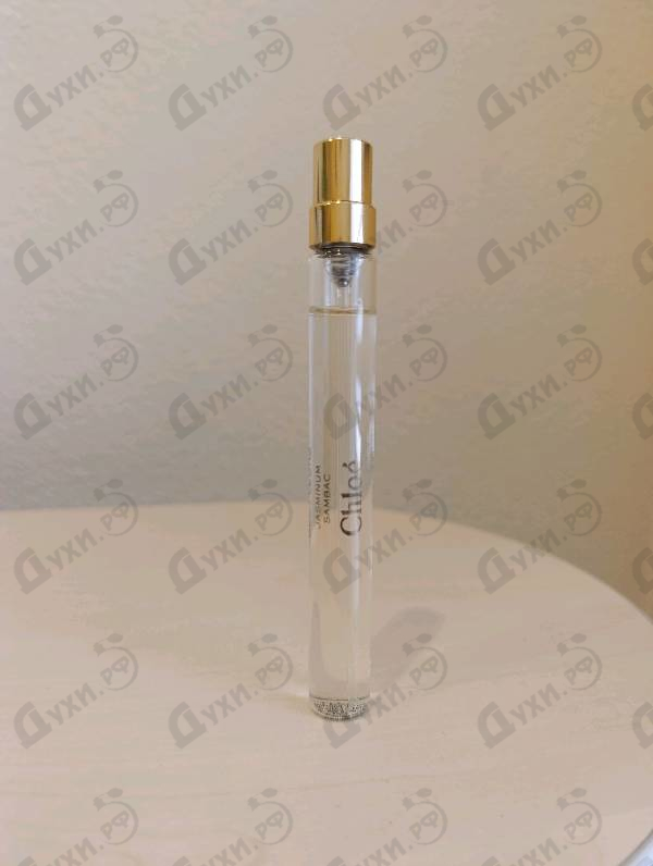 Купить Jasminum Sambac от Chloe