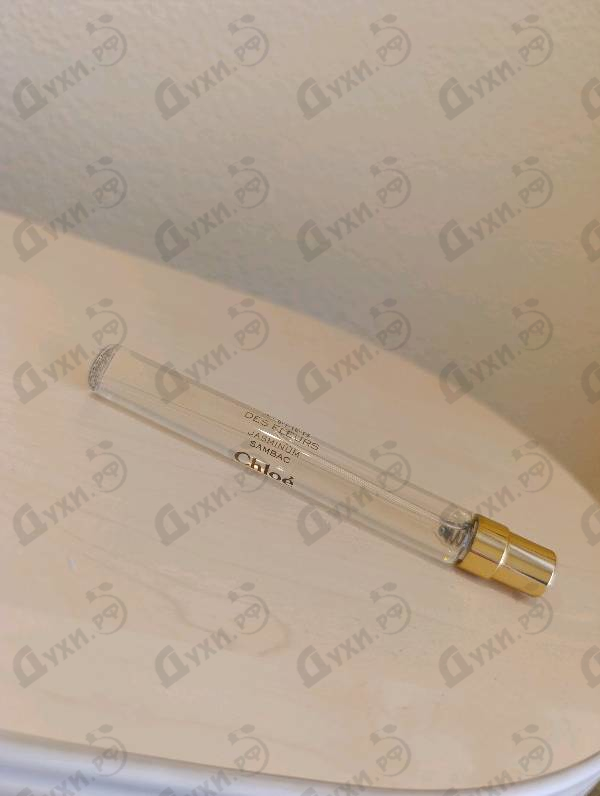 Купить Jasminum Sambac от Chloe