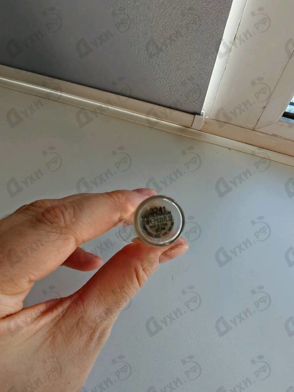 Купить Jasminum Sambac от Chloe