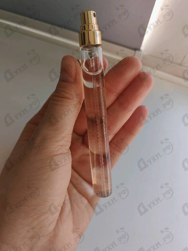 Купить Jasminum Sambac от Chloe