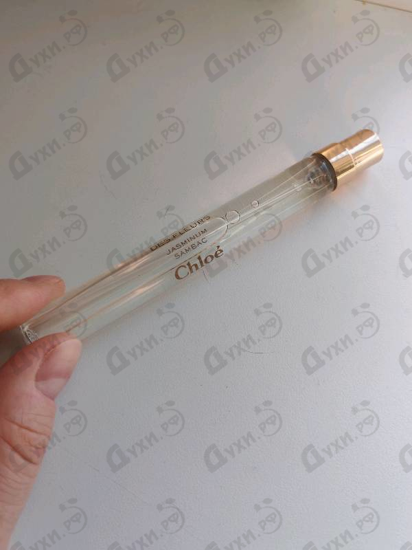 Отзывы Chloe Jasminum Sambac