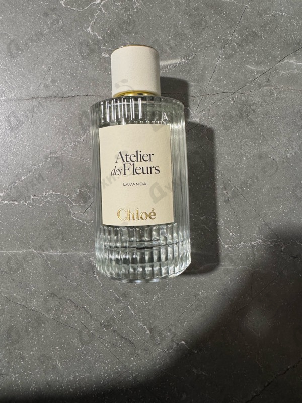 Купить Chloe Lavanda