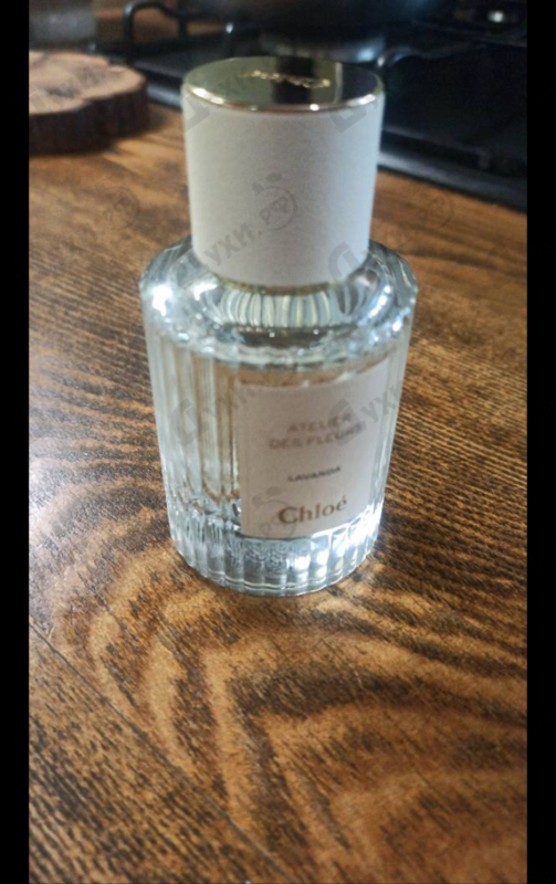 Купить Lavanda от Chloe