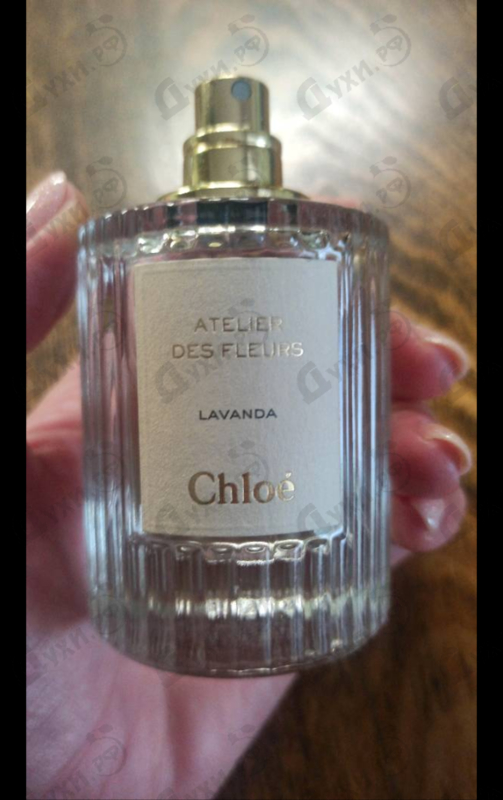 Парфюмерия Lavanda от Chloe