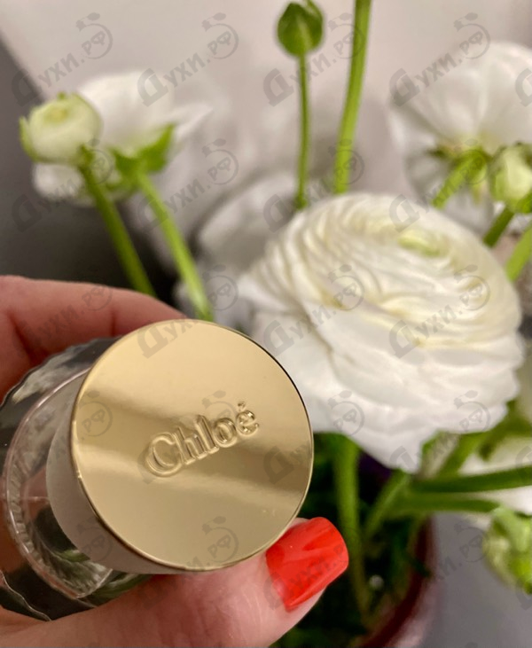 Купить Lavanda от Chloe