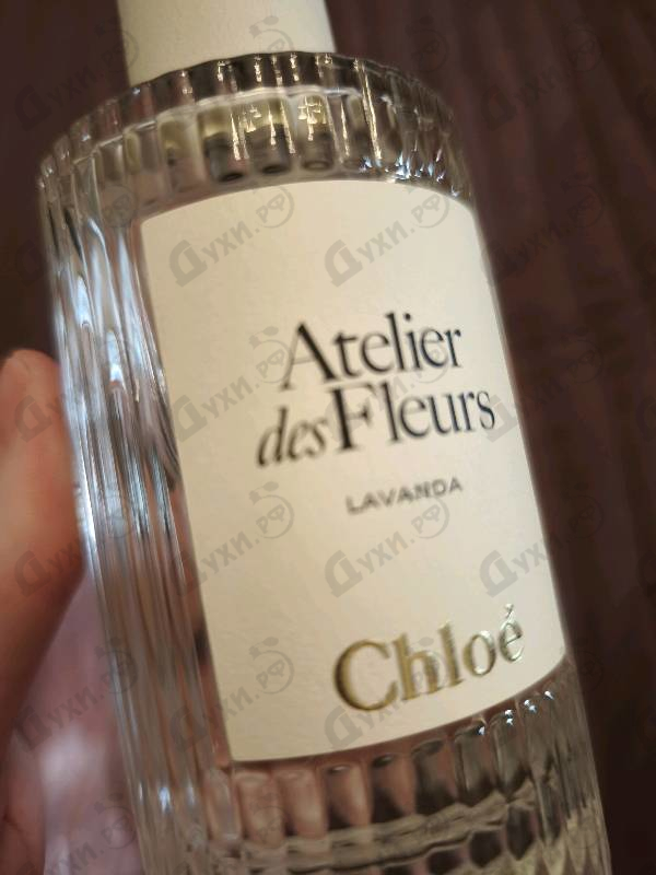 Купить Lavanda от Chloe